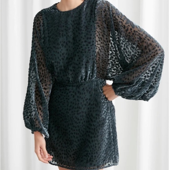 & OTHER STORIES Sheer Voluminous Sleeve Mini Dress - Picture 1 of 11